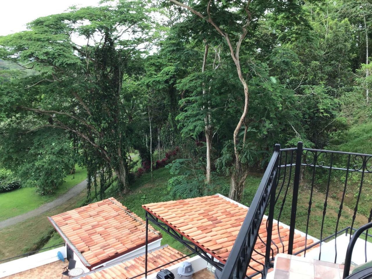 Hotel Los Cielos Del Caribe Cahuita Exterior foto